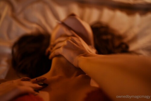 2304x1536 58a88d8087073fb57155b91d73b665eb