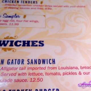 237-24-lg370a5e77160a0233