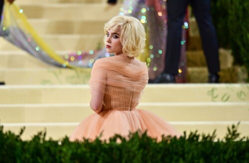 237061717 134022810900