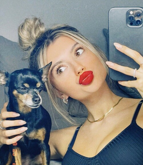 240593570 901247700772237 911353882339237505 n