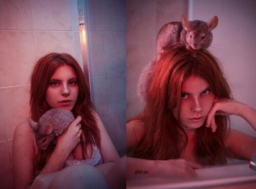 242808572 1369389376811176 5710739445384586322 n47a827b641e5a961