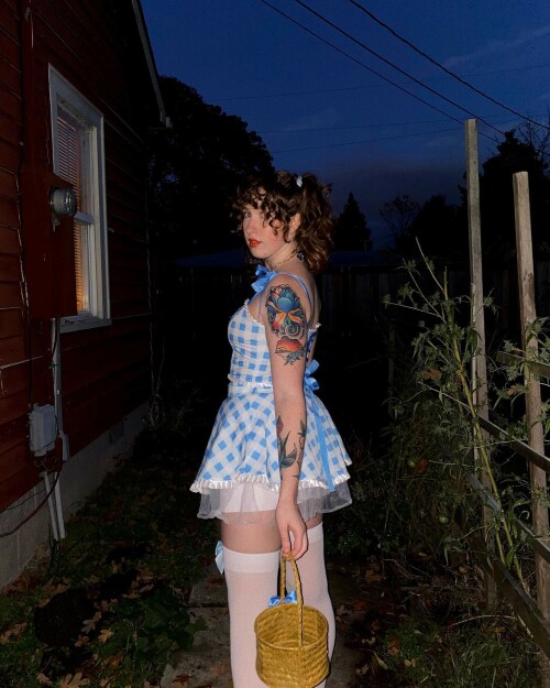 246058298 254414403317113 8038909368047589938 n