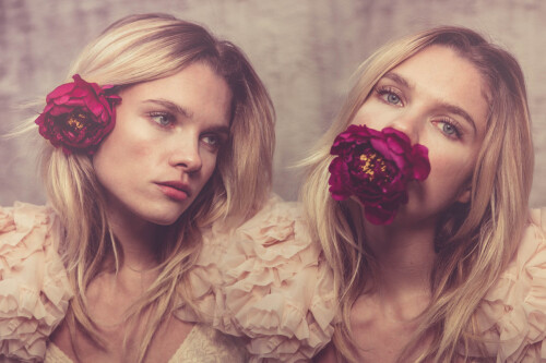 2488d35284413104146eba5943cd4a7