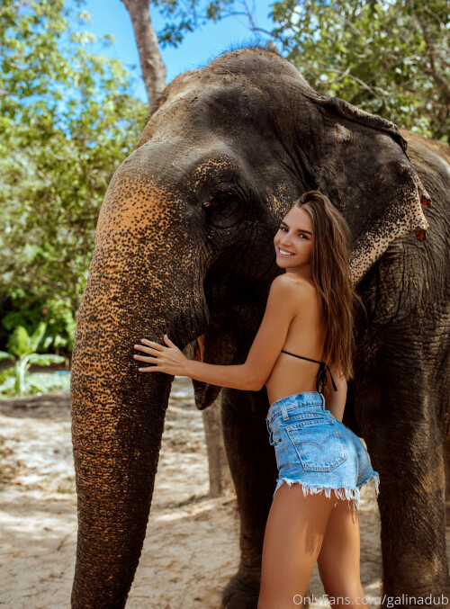 2500x3386 64a5b739bab844c65517419354823328