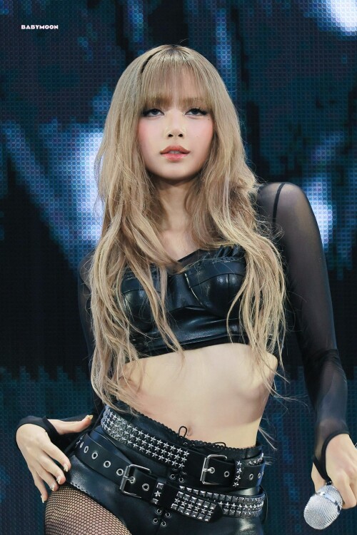 250706 LISA AT WORLD TOUR DEADLINE IN GOYANG D 2 documents 42c12678345d3eb04f