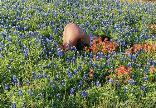 2551x1776 7f76b5760e6df1e0c5176ca353ea0ff0b2d8a657f8386434