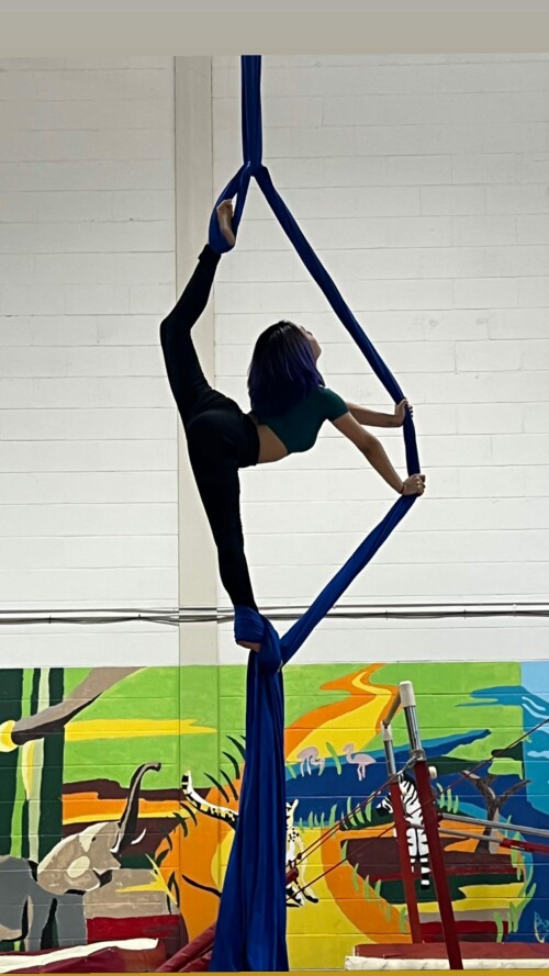 255484702 317127616551447 483068930165194889 n