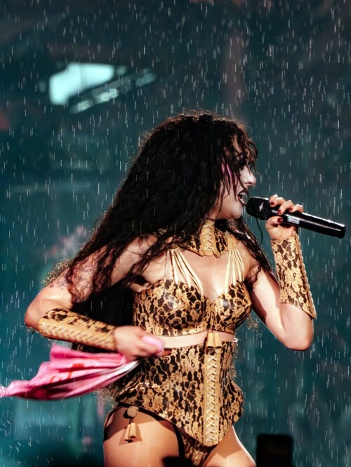 255585500fece48a8e045e878