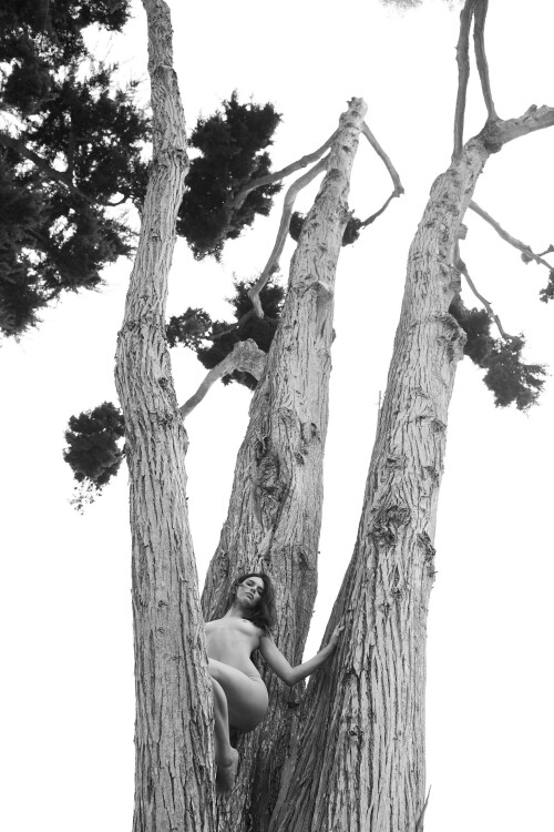 2582591D 64F2 471A 8BC4 A62DAFCE2FF3