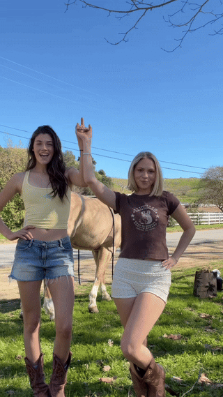 2586587357ca09dd043b123ca.gif