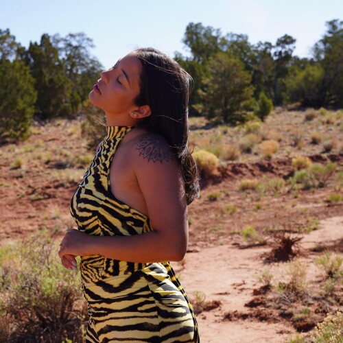 2586656458494013403 508170224365a2b2b217a6ff