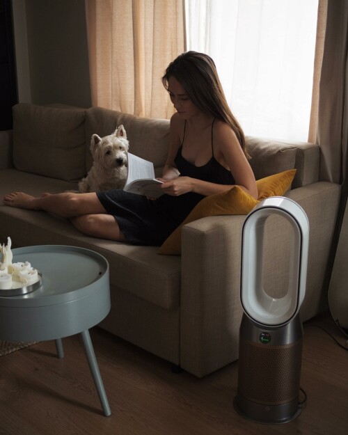 258854673 427901798961364 5087653563605086078 n