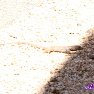 261-06-lg073528f24ab20e94