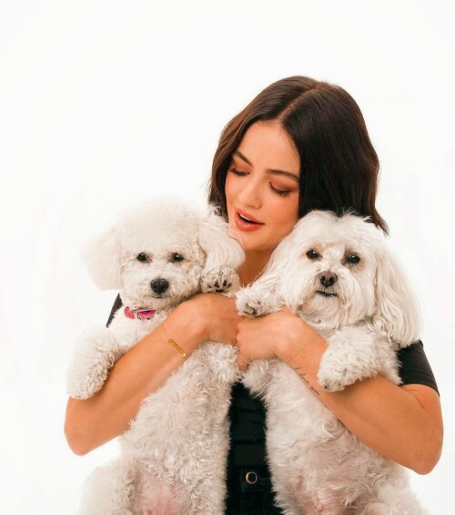 262229587 288867716505728 4068133165166923408 n