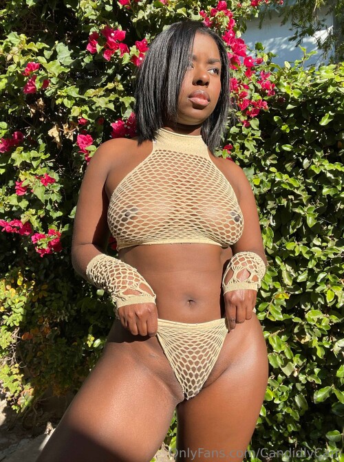 2623x3525 0663899485a892e8b9a7f9103fe4e108ae5e9182d868d23e