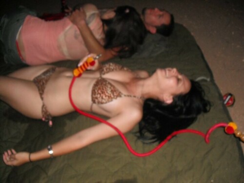 262839 2305611962571 5065524 n