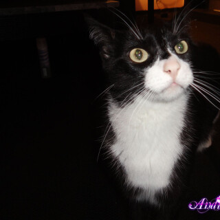 266-33-lg497677e8cd119aae