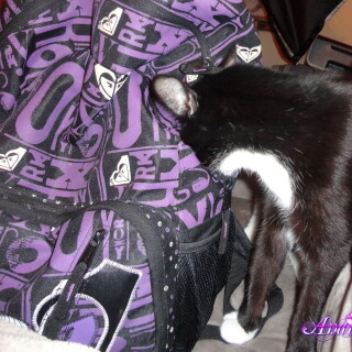 269-12-lgffac611ce32788f5