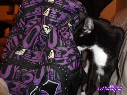 269 14 lg9029a84ddd705453