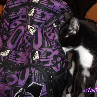 269-14-lgd39f2aca18bff36d