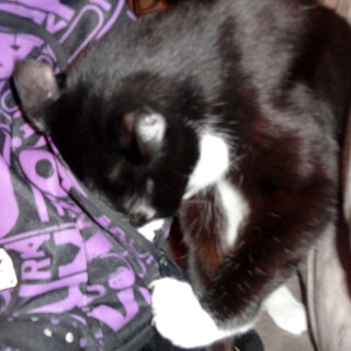 269-15-lg18209bb246b13b33