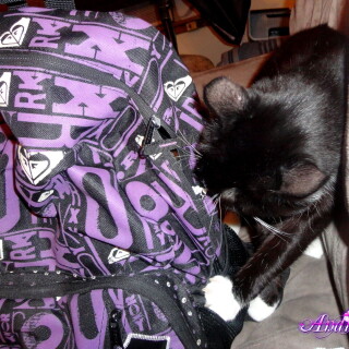 269-16-lg6a27bcd2b8244a76