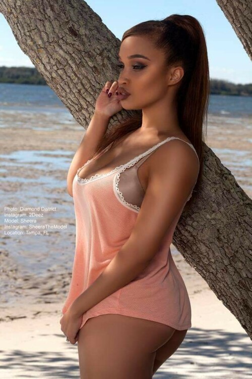 26904756 2389336144425428 5657304854114679964 n