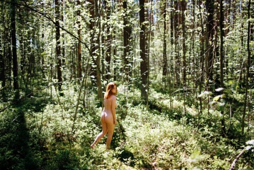 26e4acf2 7386 4f8e 8ad0 59ee1223a611018824e0fb173301