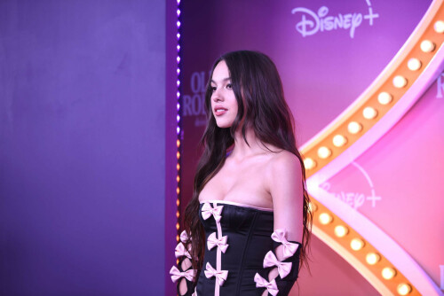 273263833 1387587299