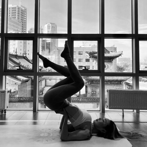 2751734776754294165 24644915018