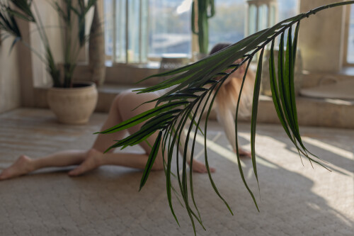 275277773e080406c9be6a4