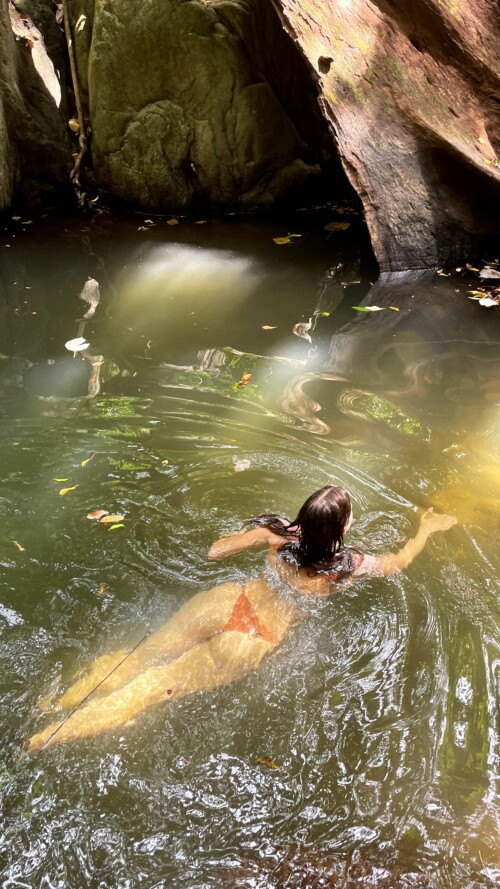 278853536 717583885923312 3913278525437106957 n