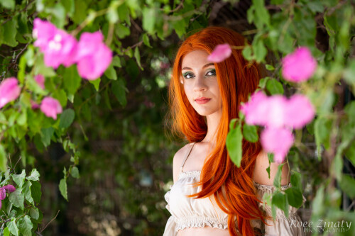 279356537 387598233374366 4565592849182956567 n