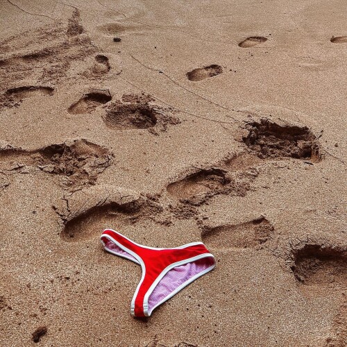 2816949818404977724 6516231092269c58ab0f4b37c