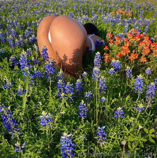 2816x2839 b557e879d0e209296c0fa9b55016c825b956ca2c84e637a7