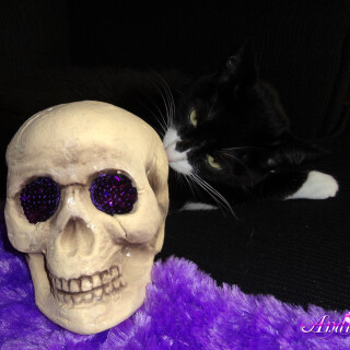 285-20-lg4764c8b56795572a