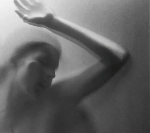 2851987691434126077 529216645434eda6c64e4be0a0c