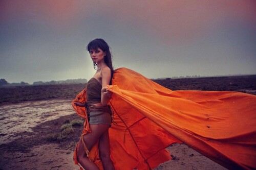 285406812 431923135028661 79400884270961946 n04321f62a5a27429