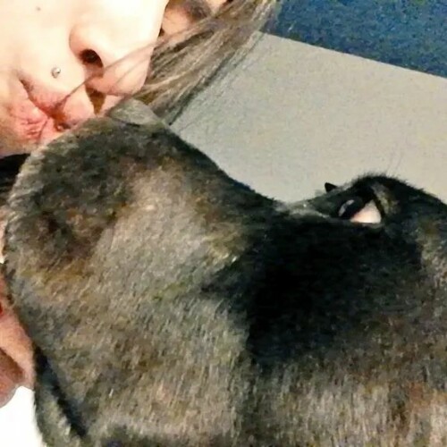 2856834263175002735 52921664543217dc97320084ed2