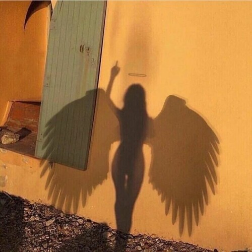 2868289589677153665 529216645437c03a6c1c4bbcf2a