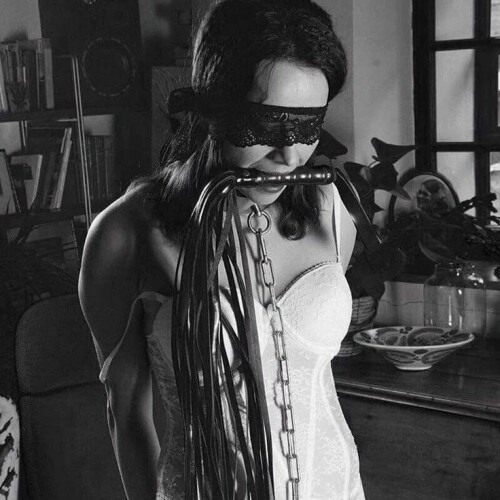 2878138202687380313 52921664543513cc590057b53f0