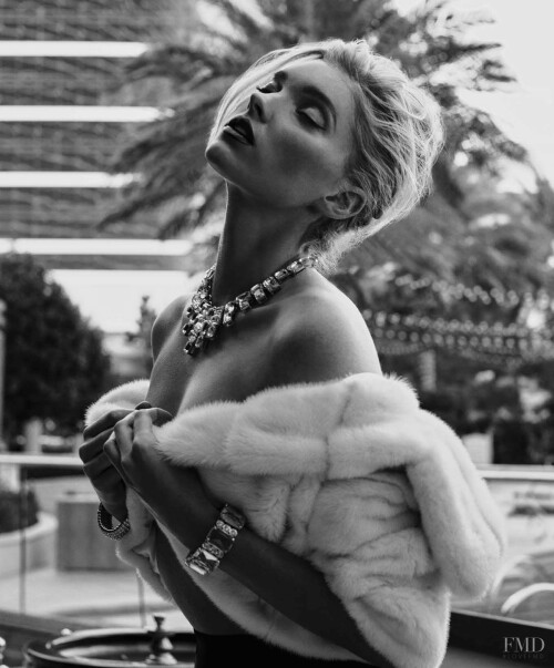 28918 1035 34196 85529 fullsize4a7bc3e457de7c8d