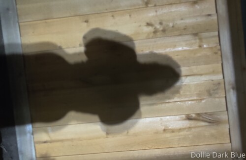 2909x1902 4ebe45936bd50d86ebcfe332c00d033965c317e7ce70a93b