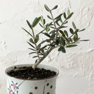 2915x3887_30c6c23ebae375d8fbe00d506692fb5d