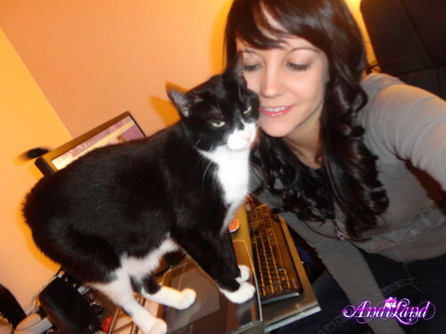 293 02 lg4163e6c3dacd4e61