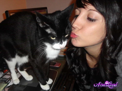 293 03 lg9063b039a683a821