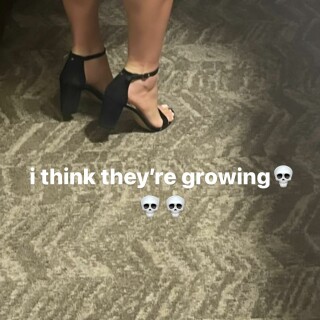 293503579_180401517770634_6355657459933331016_n