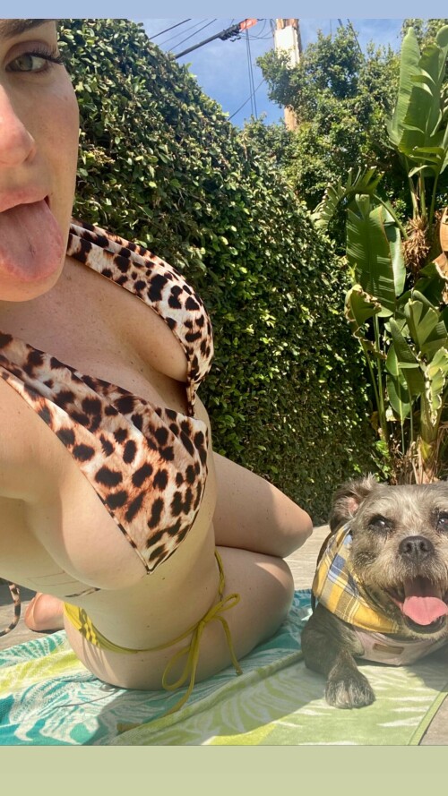 296414668 168730389011509 4982018881408304871 n