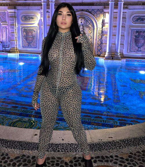 2986290340693150651 49056495655ff8becdb03c4b