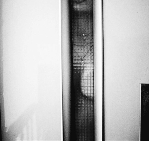 2994056362900556032 529216645436175f47b98c96f83